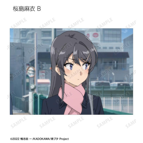 『青春ブタ野郎はランドセルガールの夢を見ない』トレーディング場面写ブロマイド(単位/BOX)【202509再販】